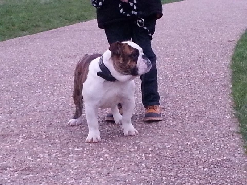 Jamie- lee De Castelfranco Veneto